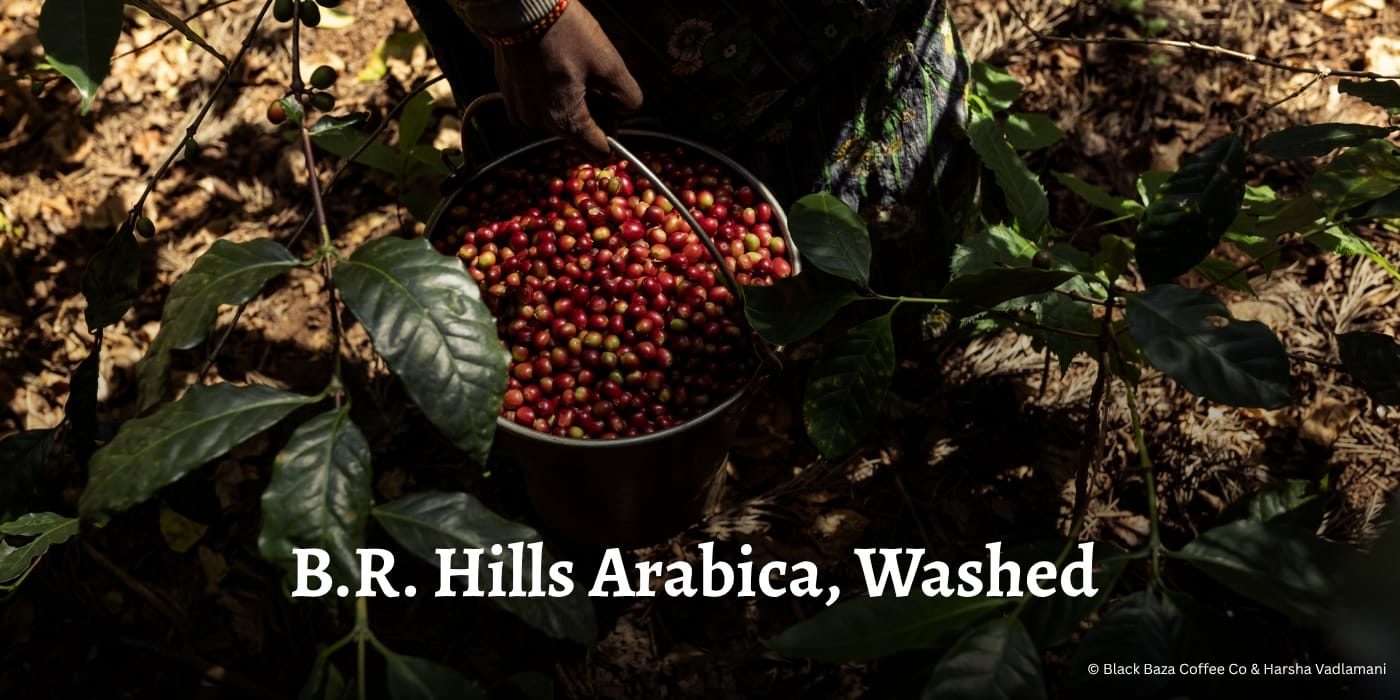 BR Hills Arabica, Washed Hero OG Banner 0009