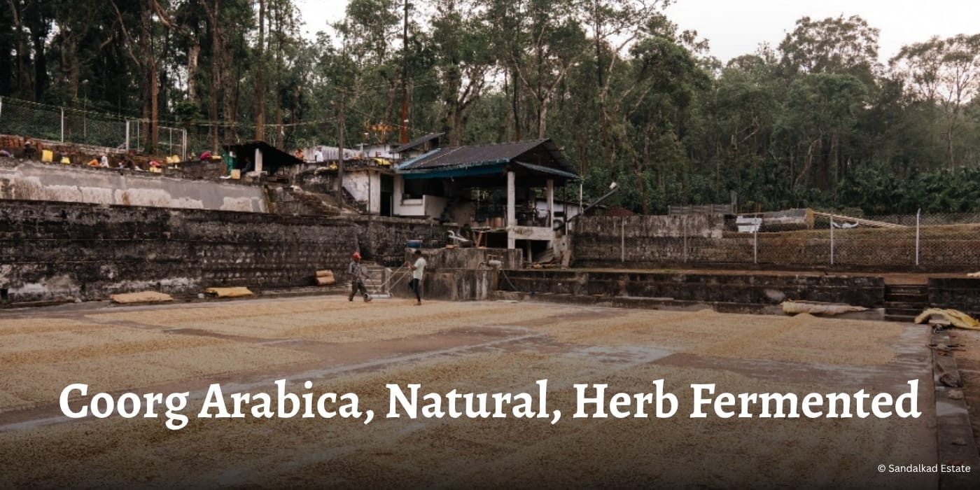 Coorg Arabica, Natural, Herb Fermented Sandalkad Estate Specialty Coffee Hero OG Banner 1978