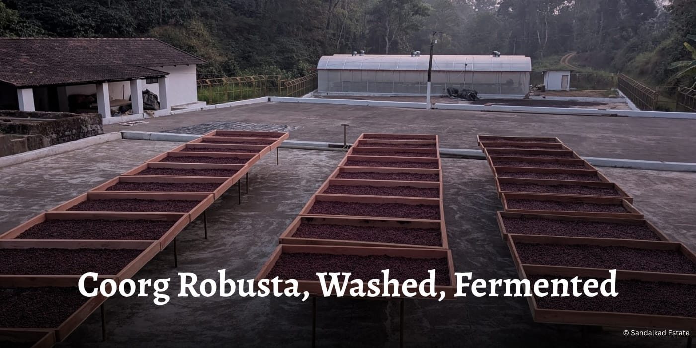 Coorg Robusta, Washed Fermented Sandalkad Estate Specialty Coffee Hero OG Banner